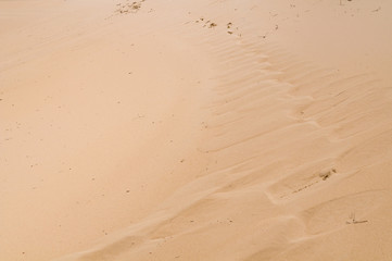 Sand dune texture background