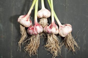Fresh garlic, vegetables on black wooden background
