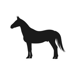 horse, icon, vector illustration 