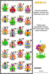 Visual puzzle: Find two identical beetles. Answer included.
