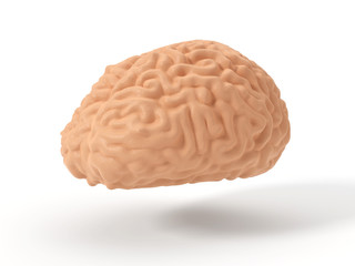 conceptual simple brain design. 3d illustration.