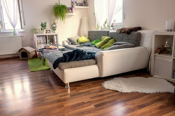 Modern authentic Livingroom from a young couple