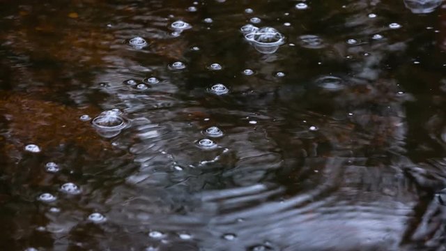 Bubbles on the brown water of the mountain creek Tro Maret in the Ardennes, Belgium. The water is brown due to the high amount of peat in the area.