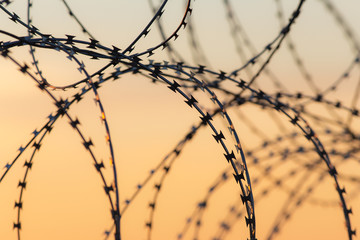 abstract barbed wire