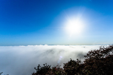 雲海