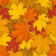 Naklejka na ściany i meble Seamless pattern with autumn fallen maple leaves. Vector realistic background.