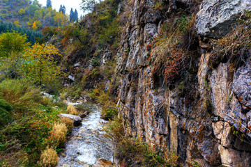 mountain river with rocks in the canyon. autumn mountains. green, yellow and red leaves