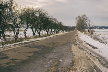 Late autumn landscape with remote empty road to Velyka Pavlivka village in Poltavskaya oblast,...