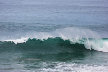 Fototapeta premium Wave