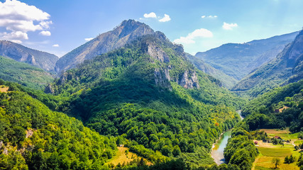 Obraz premium Beautiful canyon of the Tara river in Montenegro
