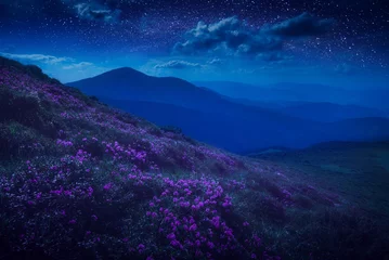 Fototapeten Mountain hill covered with meny purple flowers © Bashkatov