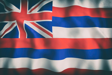 Hawaii State flag