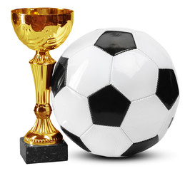 Football Cup prize