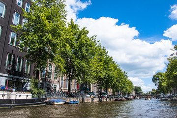 Fototapeta premium Green Amsterdam