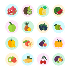 Set Vector Illustration of Berries and Fruits