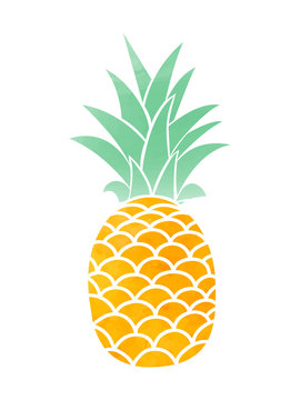 Watercolor Pineapple. Vector symbol