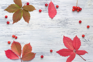 Fototapeta na wymiar Autumn leaves on a wooden surface. Red leaves and berries of viburnum on a wood-stained background.