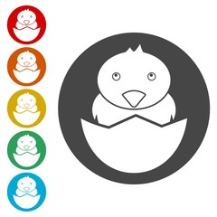 Fototapeta premium Chick hatched from an egg icons set - Illustration 