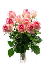 bouquet of pink rose flowers on white background
