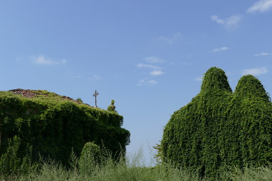 Abandoned villa in Chieri Italy
