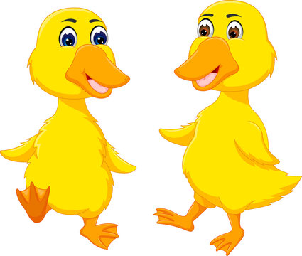 a pair of little ducks in a friendly cartoon