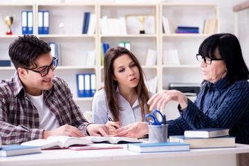 Young student and teacher during tutoring lesson
