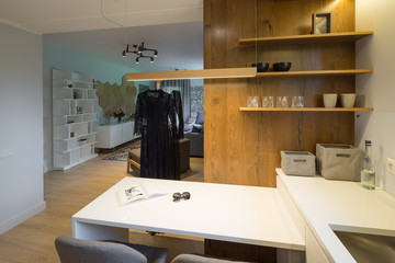 Kitchen studio interior. Modern kitchen in the house.