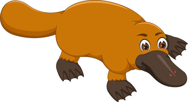 Funny Face Platypus Cartoon With Smile