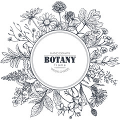 Vector circle frame with herb and wildflower elements - obrazy, fototapety, plakaty