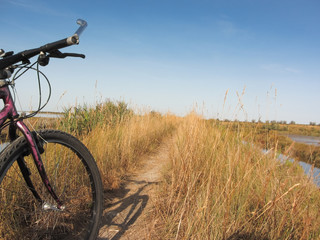 cycling in sunny day in the lagoon of Venice