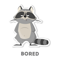 Isolated bored raccoon.