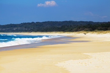 Beautiful Australian beach on the Pacific Ocean