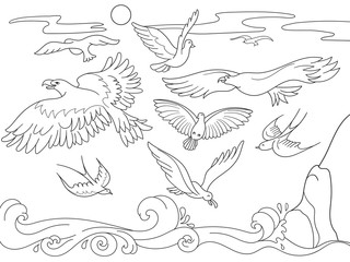 Obraz premium kolorowanka kreskówka książka dla dzieci. Nad morzem latają różnego rodzaju ptaki. Czarno-białe linie