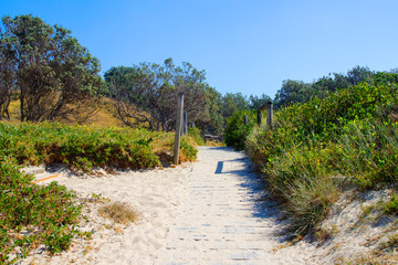 Grass covered beach dune on seashore at Valla Beach Australia