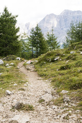 Obraz premium Mountain path