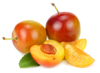 fresh plum fruit isolated on white background