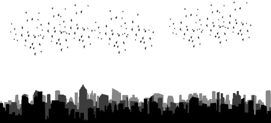 Fototapeta premium isolated silhouette of flying birds, flock