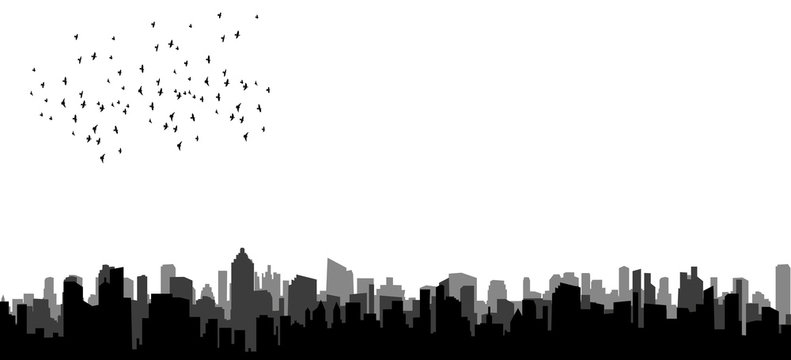 silhouette of flying birds over the city