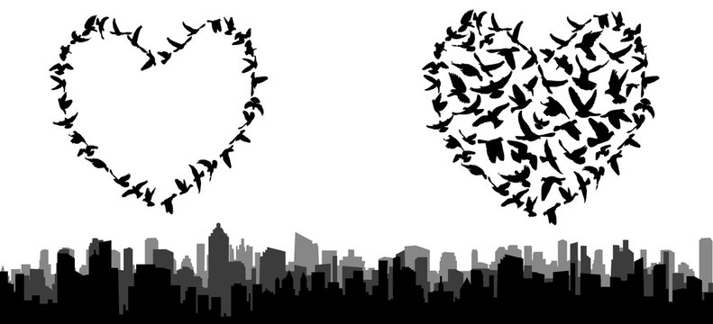  isolated silhouette of flying birds, heart