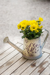 Watering can with sunflowers at garden table - 170236627