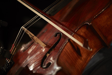 Cello Detail
