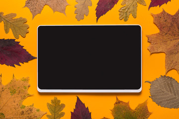 Digital tablet on orange background - Powered by Adobe