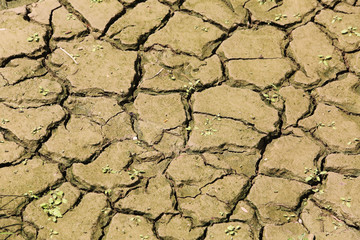 Dried mud near the river