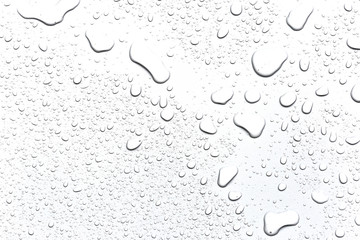 Abstract water droplets isolated background with white background. - obrazy, fototapety, plakaty