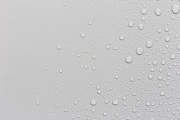 Water droplets on a gray background - obrazy, fototapety, plakaty