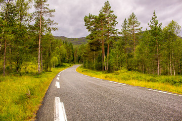 Norway road landscape along the forest.