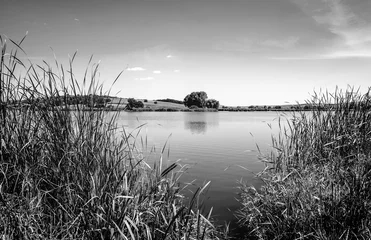 Foto op Canvas Photo of nature around beautiful blue lake black and white © Badunchik