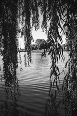 Photo of nature around beautiful blue lake black and white