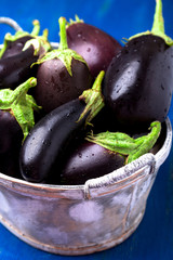 Fresh eggplant in grey basket on blue wooden table.Rustic background. Close up. Vegan vegetable.