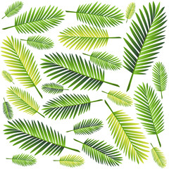 Tropical palm leaves, jungle leaves seamless vector floral pattern background Web site page and mobile app design Vector illustration.